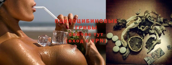 apvp Белокуриха