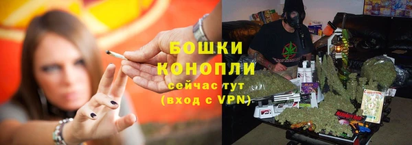apvp Белокуриха